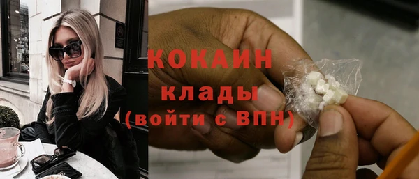 2c-b Бородино