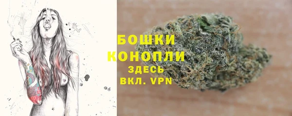 спиды Бронницы