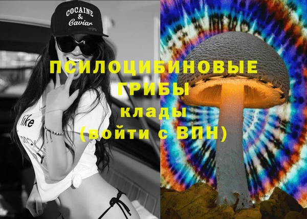 2c-b Бородино