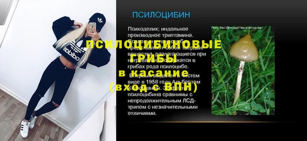 спиды Бугульма